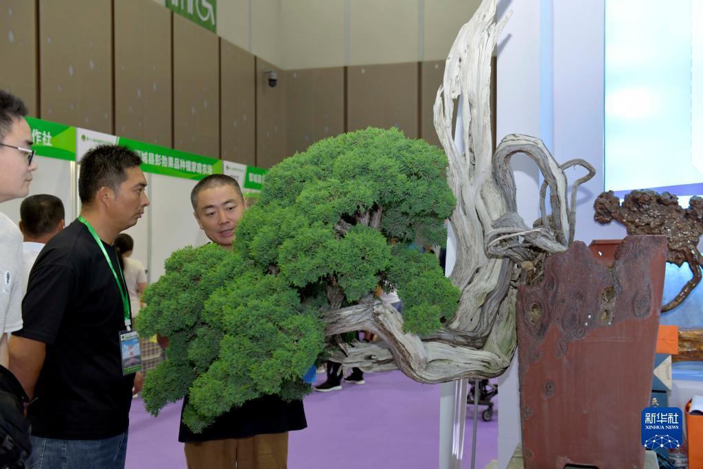 mg大全赌场
